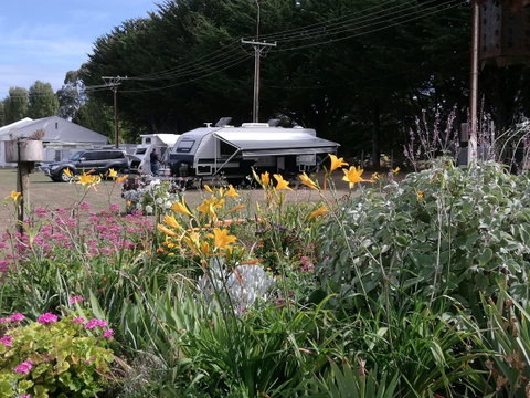 Millicent Showground RV Park - Dalby Accommodation 0