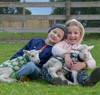 Narnu  Farm Farm stay/ School Camp - Dalby Accommodation