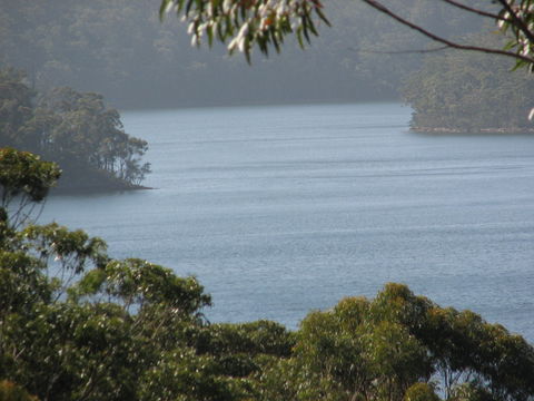 Narrawallee Creek Studio - Dalby Accommodation 2
