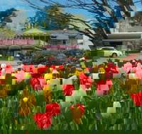 Nesuto Leura Gardens Hotel - Dalby Accommodation