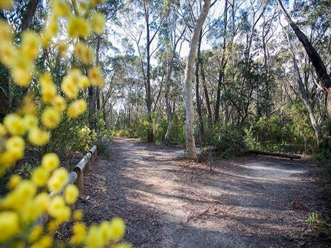 Perrys Lookdown Campground - Dalby Accommodation 0