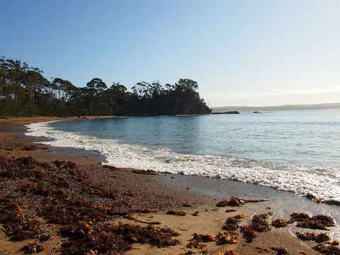 Pleasurelea Tourist Resort - Dalby Accommodation 1