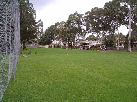Waratah Cottage - Dalby Accommodation 8