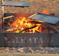 Wilkatana Station - Dalby Accommodation