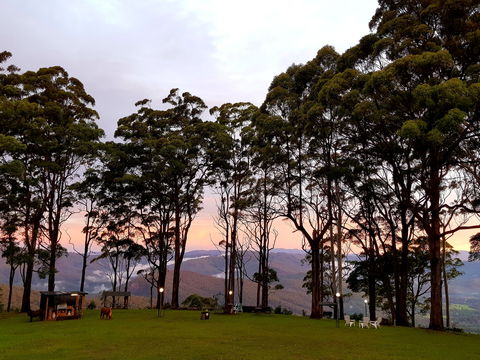 Aaronlee Retreat - Dalby Accommodation 1