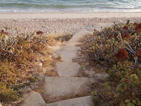 Albarino - Dalby Accommodation 1