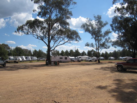 Ariah Park Camping Ground - Dalby Accommodation 4
