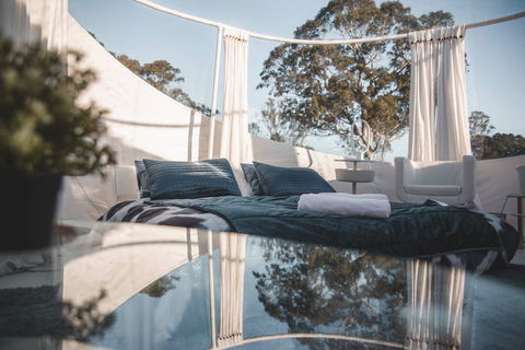 Coonawarra Bubble Tents - Dalby Accommodation 2
