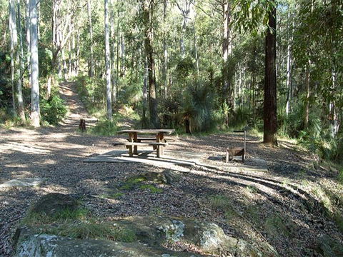 Gap Creek Campground - Dalby Accommodation 1