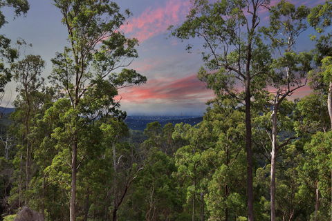 Gold Coast Tree Houses - Dalby Accommodation 2