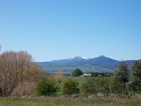 Goughs Bay Holiday Cottages - Dalby Accommodation 6