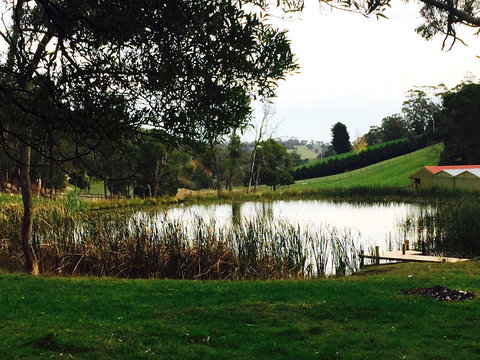 Gracefield Estate - Dalby Accommodation 0