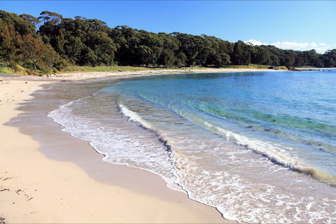 Holiday Haven Bendalong - Dalby Accommodation 4