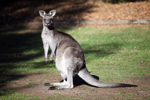 Holiday Haven Bendalong - Dalby Accommodation 5