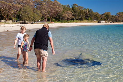 Holiday Haven Bendalong - Dalby Accommodation 6