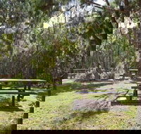 Illaroo group camping area - Dalby Accommodation