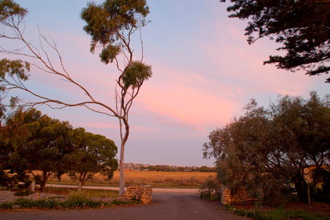 Jimmy Smith's Dairy - Dalby Accommodation 9