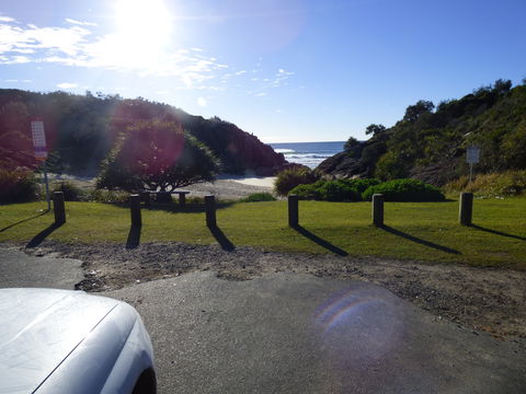 Little Bay Cottage - Dalby Accommodation 0