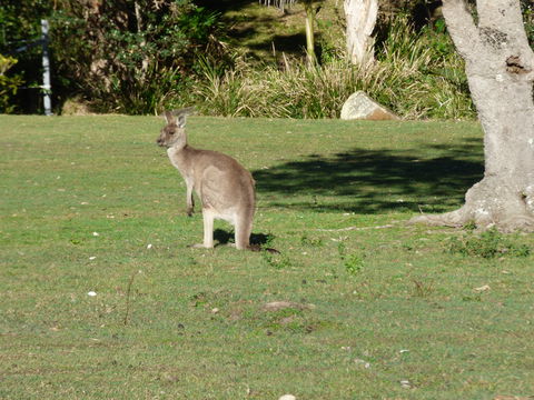 Little Bay Cottage - Dalby Accommodation 2