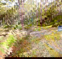 Mackaway Bay campground - Dalby Accommodation