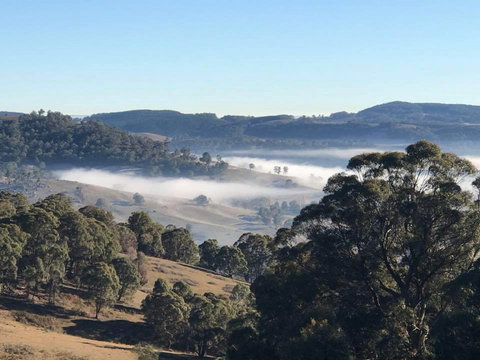 Melaleuca Mountain Retreat - Dalby Accommodation 0