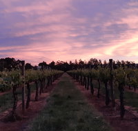 Milawa Vineyard Views - Dalby Accommodation