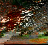 Misty Valley Country Cottages - Dalby Accommodation
