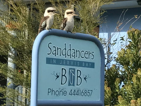 Sanddancers Bed And Breakfast In Jervis Bay - Dalby Accommodation 1
