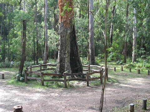 Six Mile Creek Campground - Dalby Accommodation 0