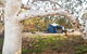 Wooramel River Retreat - thumb 0