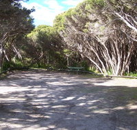 3 Mile Bend Campground - Beachport Conservation Park - Dalby Accommodation