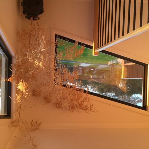 Barefoot Beach Stays - Dalby Accommodation 1