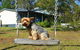 Finchley Bed And Breakfast (Pet Friendly) - thumb 0