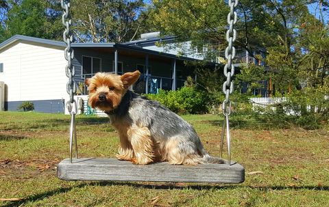 Finchley Bed And Breakfast (Pet Friendly) - Dalby Accommodation 0