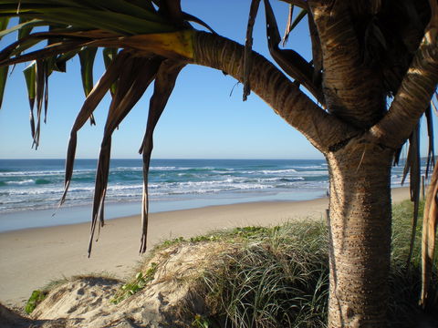 Horizons At Peregian - Dalby Accommodation 0