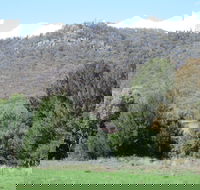 Jessica's Guest House and Vineyard - Dalby Accommodation
