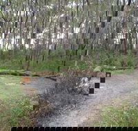 Meroo Head campground - Dalby Accommodation