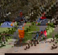 Ngarigo campground - Dalby Accommodation