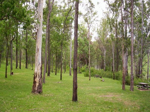 Nymboida River Campground - Dalby Accommodation 1
