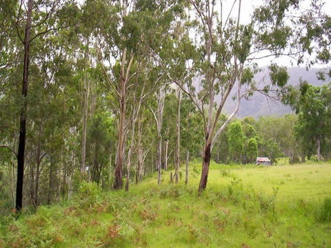 Nymboida River Campground - Dalby Accommodation 2