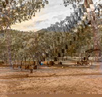 Pinch River campground - Dalby Accommodation