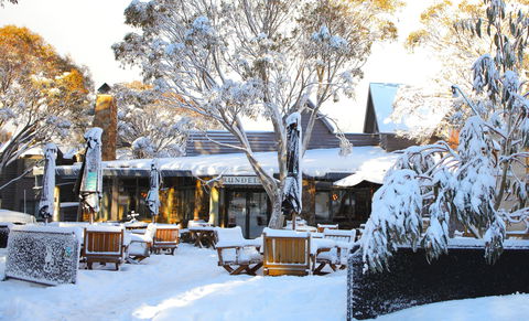 Ramada Resort By Wyndham Dinner Plain Mt Hotham - Dalby Accommodation 0