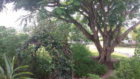Rosehill Apartments - Dalby Accommodation 2