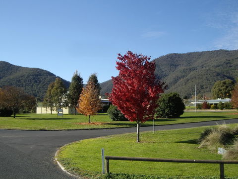 Talbingo Country Club - Dalby Accommodation 1