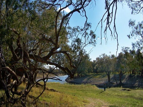 Yanda Campground - Dalby Accommodation 0