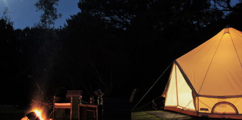Zeehan Bush Camp - Dalby Accommodation 1