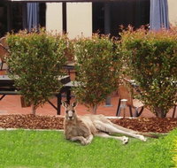 Alpha Canberra Hotel - Dalby Accommodation