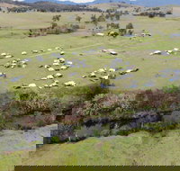 Camp on Allyn - Dalby Accommodation