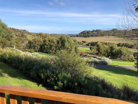 Daysy Hill Country Cottages - Dalby Accommodation 2