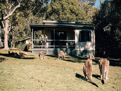 Depot Beach Cabins - Dalby Accommodation 0